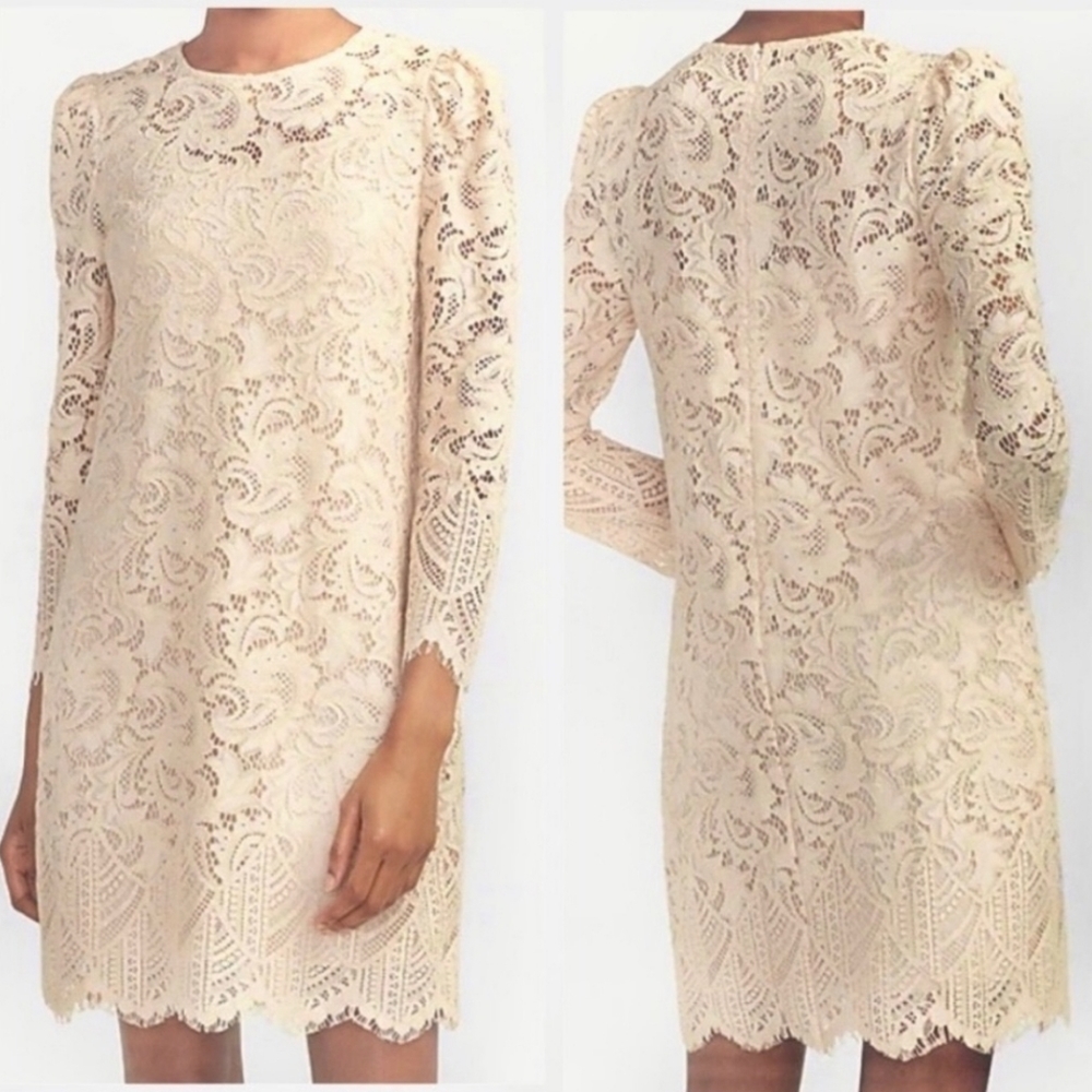 Express Allover Lace Shift Dress Long Puff Sleeves Lined Nude Cream M